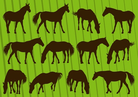 Horses silhouette collection vectorのイラスト素材