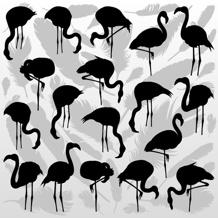 Flamingo bird silhouettes and feathers illustration collection background vectorのイラスト素材