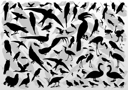 Birds and feathers silhouettes illustration collection background vectorのイラスト素材