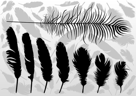 Black bird feathers illustration collection background vectorのイラスト素材
