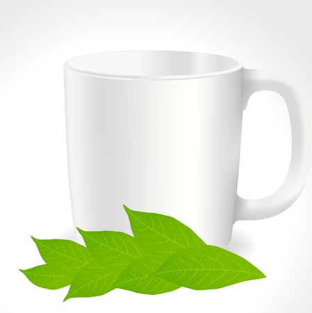 Fresh, green tea leaves on a white background with cup vectorのイラスト素材