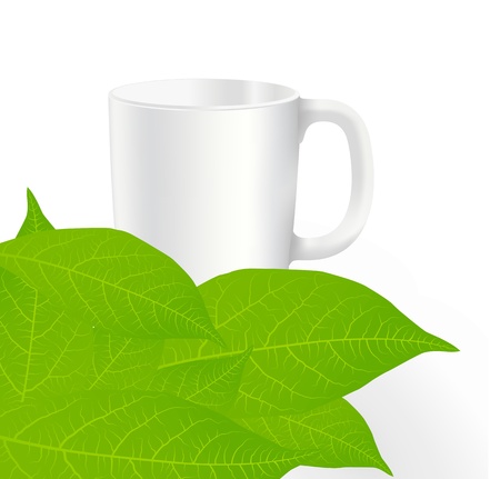 Fresh, green tea leaves on a white background with cup vectorのイラスト素材