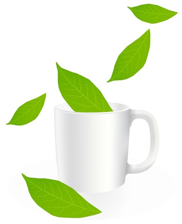 Fresh, green tea leaves on a white background with cup vectorのイラスト素材