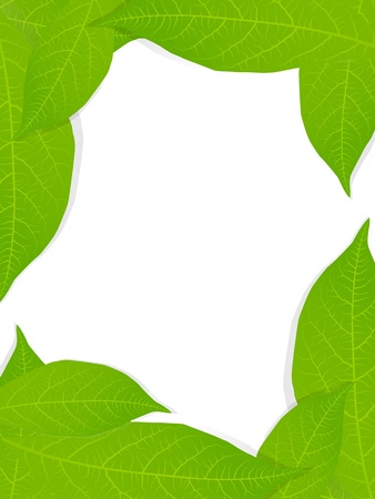 Green leaves background for posterのイラスト素材