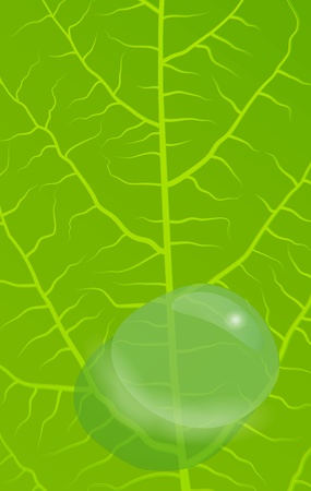Green leaves background for posterのイラスト素材