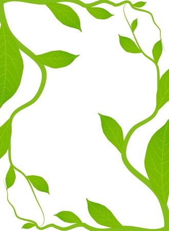 Green leaves background for posterのイラスト素材