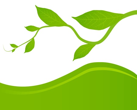 Green leaves background for posterのイラスト素材