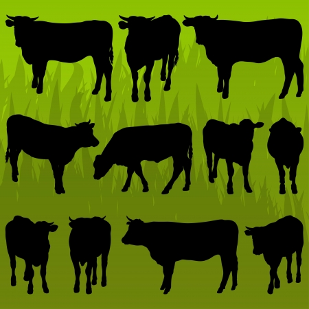 Beef cattle detailed silhouettes illustration collection background vectorのイラスト素材