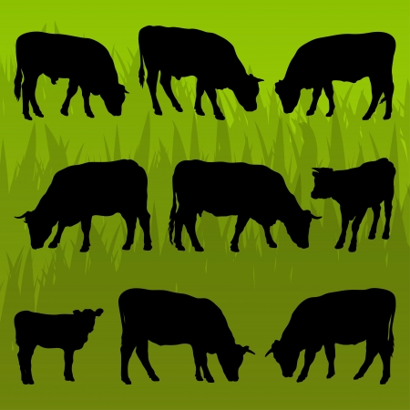 Beef cattle detailed silhouettes illustration collection background vectorのイラスト素材