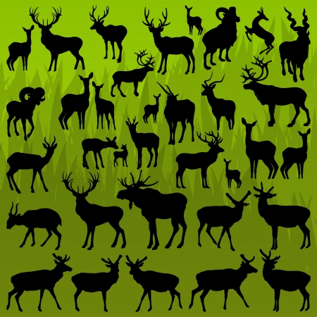 Deer, moose and mountain sheep horned hunting trophy animals illustration collection background vectorのイラスト素材