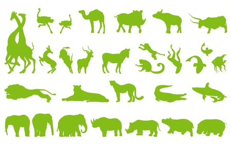 Africa animals illustration collection background vector set for posterのイラスト素材