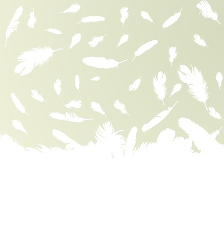 Feather vector background with copy space for textのイラスト素材