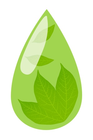 Green tea drop and fresh green leaves inside it background vector conceptのイラスト素材