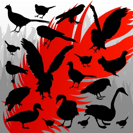 Forest hunting bird detailed silhouettes illustration collection background vectorのイラスト素材