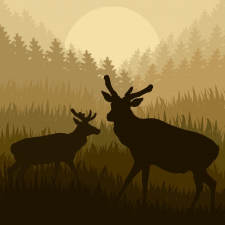 Deer in wild nature forest landscape background illustration vectorのイラスト素材