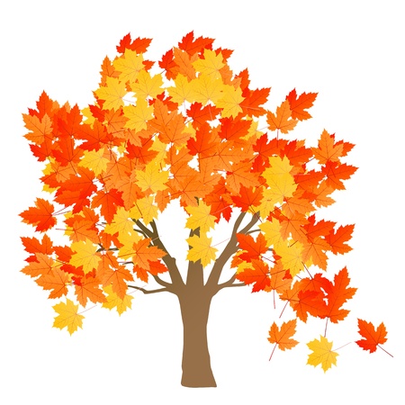 Maple tree autumn leaves background vector for posterのイラスト素材
