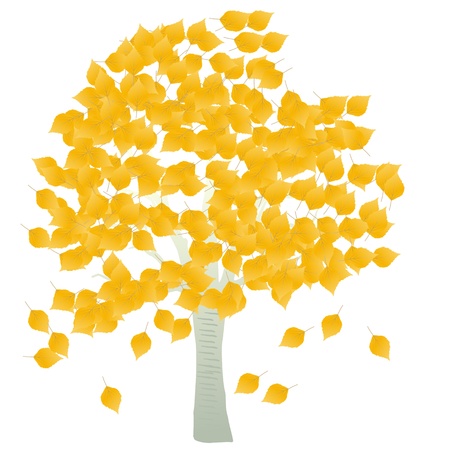 Autumn birch tree leaves vector background  for posterのイラスト素材