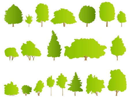 Trees detailed illustration collection background vectorのイラスト素材