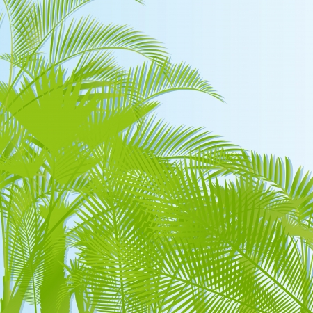 Tropical leaf rain forest background vectorのイラスト素材