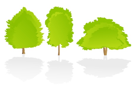 Trees detailed illustration collection background vectorのイラスト素材