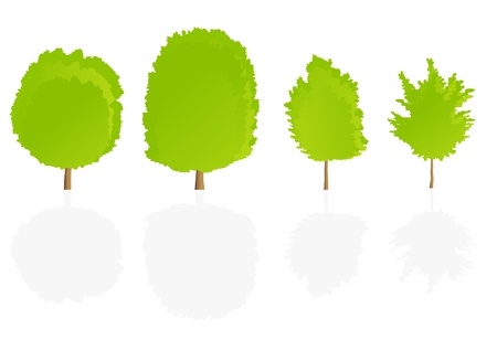 Trees detailed illustration collection background vectorのイラスト素材