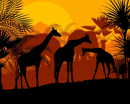 Giraffe at sunset vector background for posterのイラスト素材