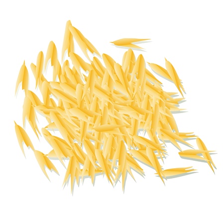 Oats background vector for posterのイラスト素材
