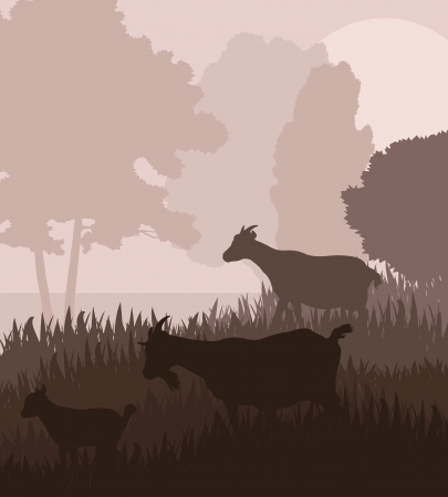 Farm dairy goats vector background in a field for posterのイラスト素材