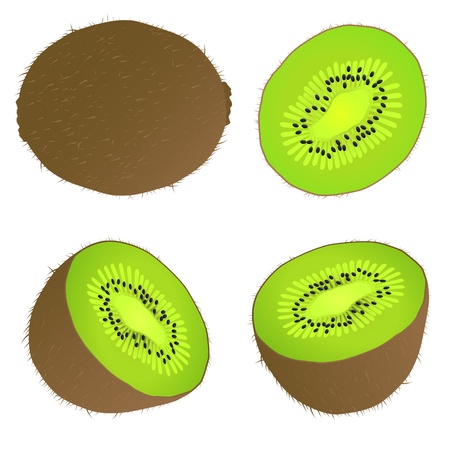 Juicy kiwi fruit vector background for posterのイラスト素材