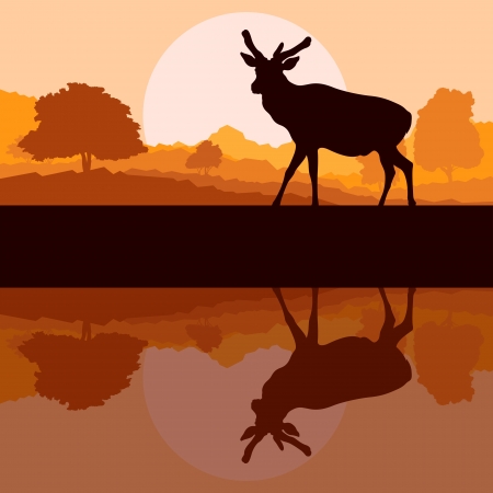 Deer in wild nature forest landscape background illustration vectorのイラスト素材