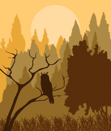 Owl in forest vector background for posterのイラスト素材