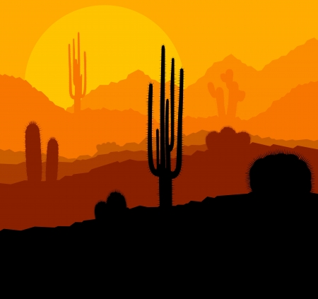 Cactus plants in Mexico desert sunset vector backgroundのイラスト素材