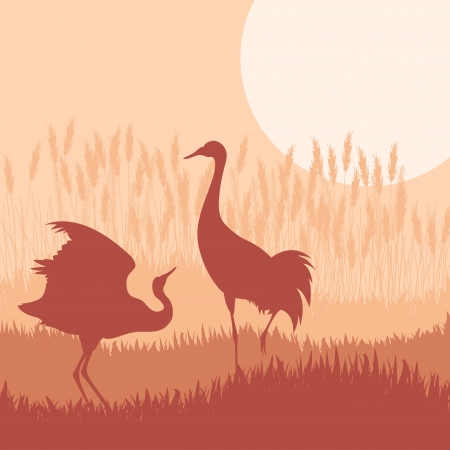 Crane flying in wild mountain nature landscape backgroundのイラスト素材