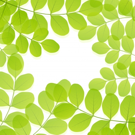 Illustration pour Green leaves background vector template - image libre de droit