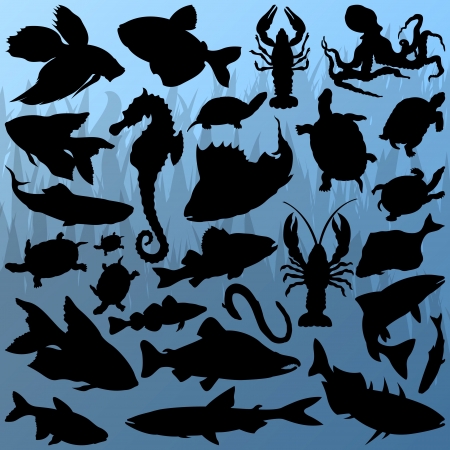 Sea fish, turtle, crayfish, lobster, octopus and seahorseのイラスト素材