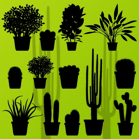 Cactus plant and exotic bushes detailed illustration collection background のイラスト素材