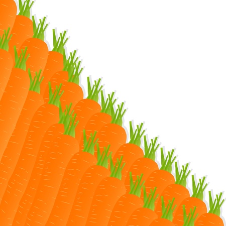 Carrot background ecology conceptのイラスト素材