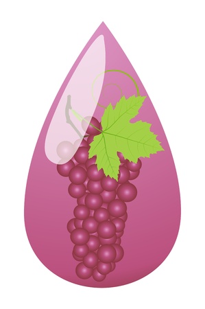 Grape juice green drop ecology concept backgroundのイラスト素材