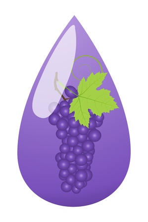 Grape juice green drop ecology concept backgroundのイラスト素材