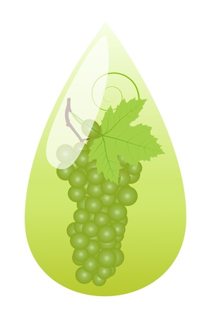 Grape juice green drop ecology concept backgroundのイラスト素材