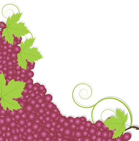 Grape background ecology conceptのイラスト素材