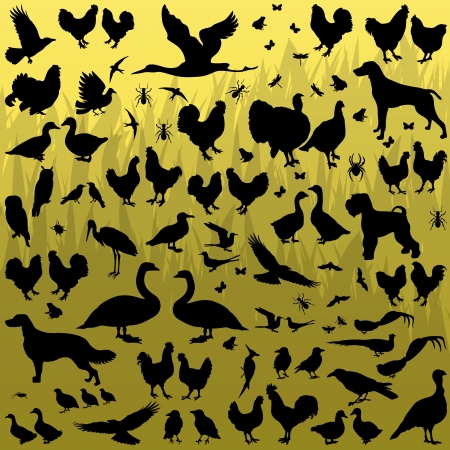 Small farm animals detailed silhouettes illustration collection background のイラスト素材