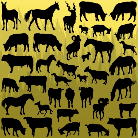Big farm animals detailed silhouettes illustration collection background のイラスト素材