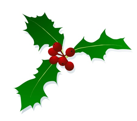 Christmas holly berry vintage holiday decoration illustration background のイラスト素材