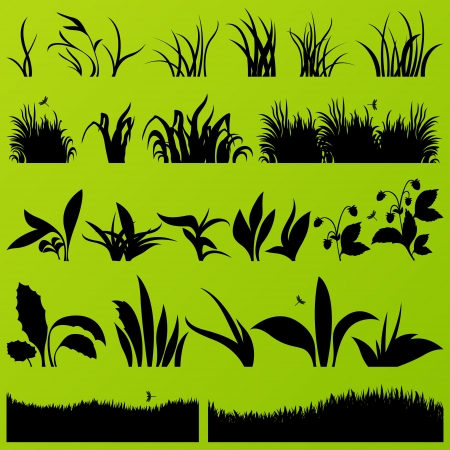 Grass and plants detailed silhouettes illustration collection background vectorのイラスト素材
