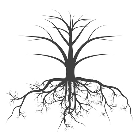 Tree with roots background vector concept for posterのイラスト素材