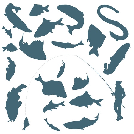 Fisherman and fishes vector background for posterのイラスト素材