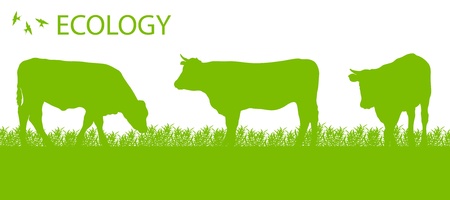 Store cattle ecology background organic farming vector conceptのイラスト素材