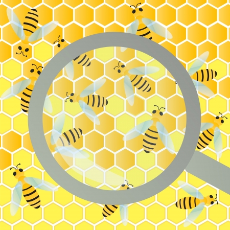 Bees hive and wax honeycomb under magnifier glass inspection illustration background vectorのイラスト素材