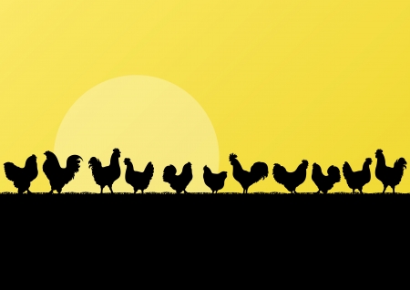 Farm chickens and roosters silhouettes in countryside landscape illustration background vectorのイラスト素材